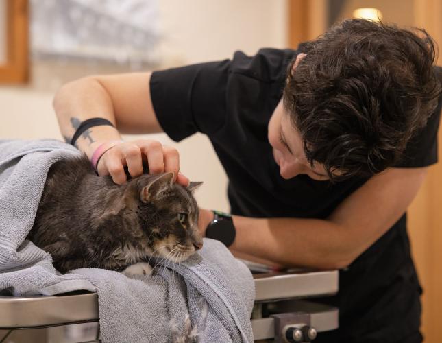 New Client -Vet near Me - Hood River, Oregon Veterinarian